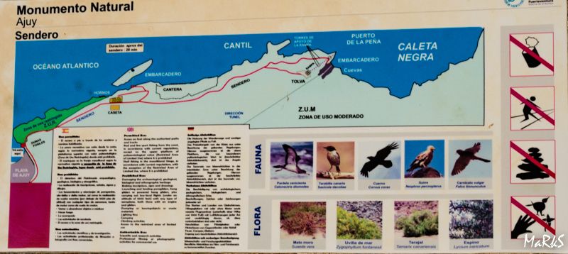 Spain Fuertaventura Aug 2018 1