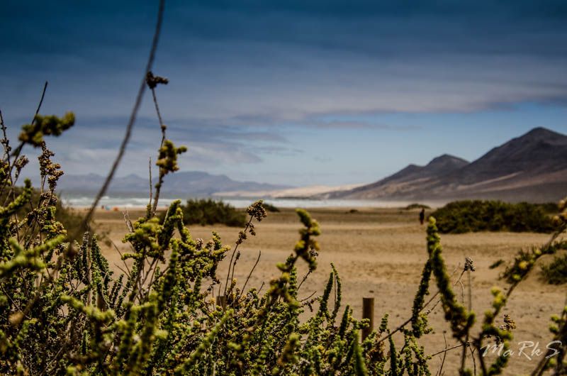Spain Fuertaventura Aug 2018 129