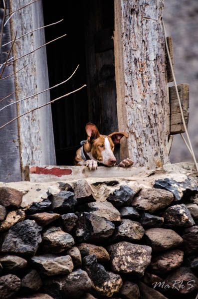 Spain Fuertaventura Aug 2018 138