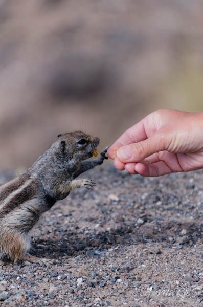Spain Fuertaventura Aug 2018 207