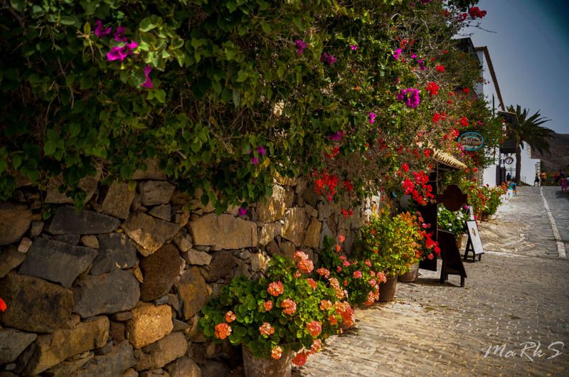 Spain Fuertaventura Aug 2018 46