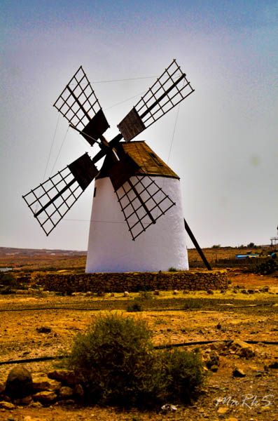 Spain, Fuerteventura, Aug 2018