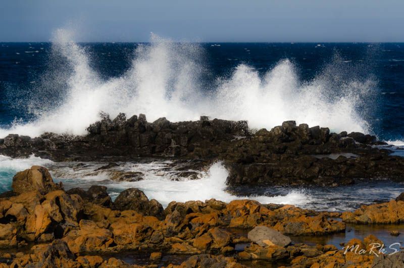 Spain Fuertaventura Aug 2018 71