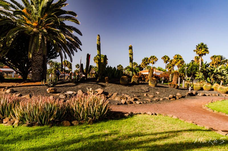 Spain Fuertaventura Aug 2018 81