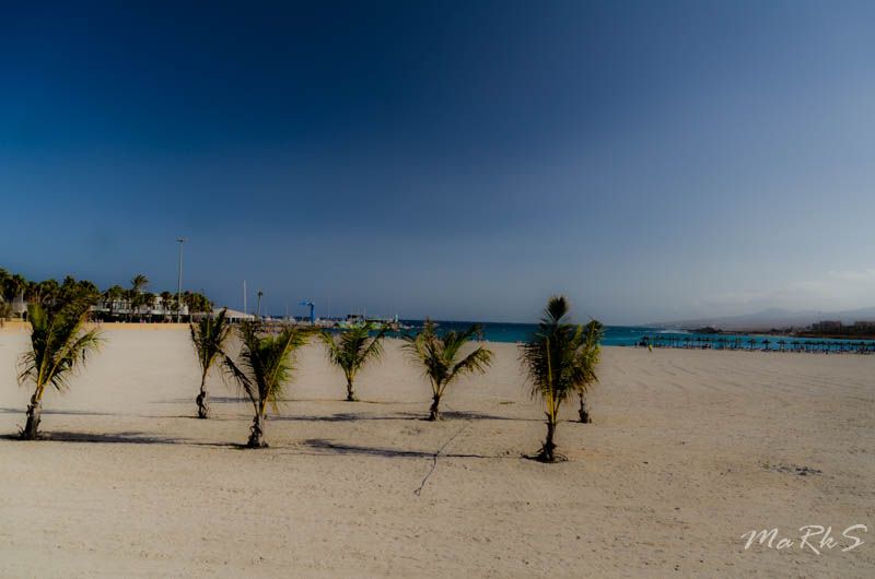 Spain Fuertaventura Aug 2018 83