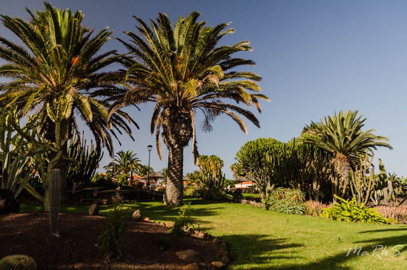 Spain Fuertaventura Aug 2018 86