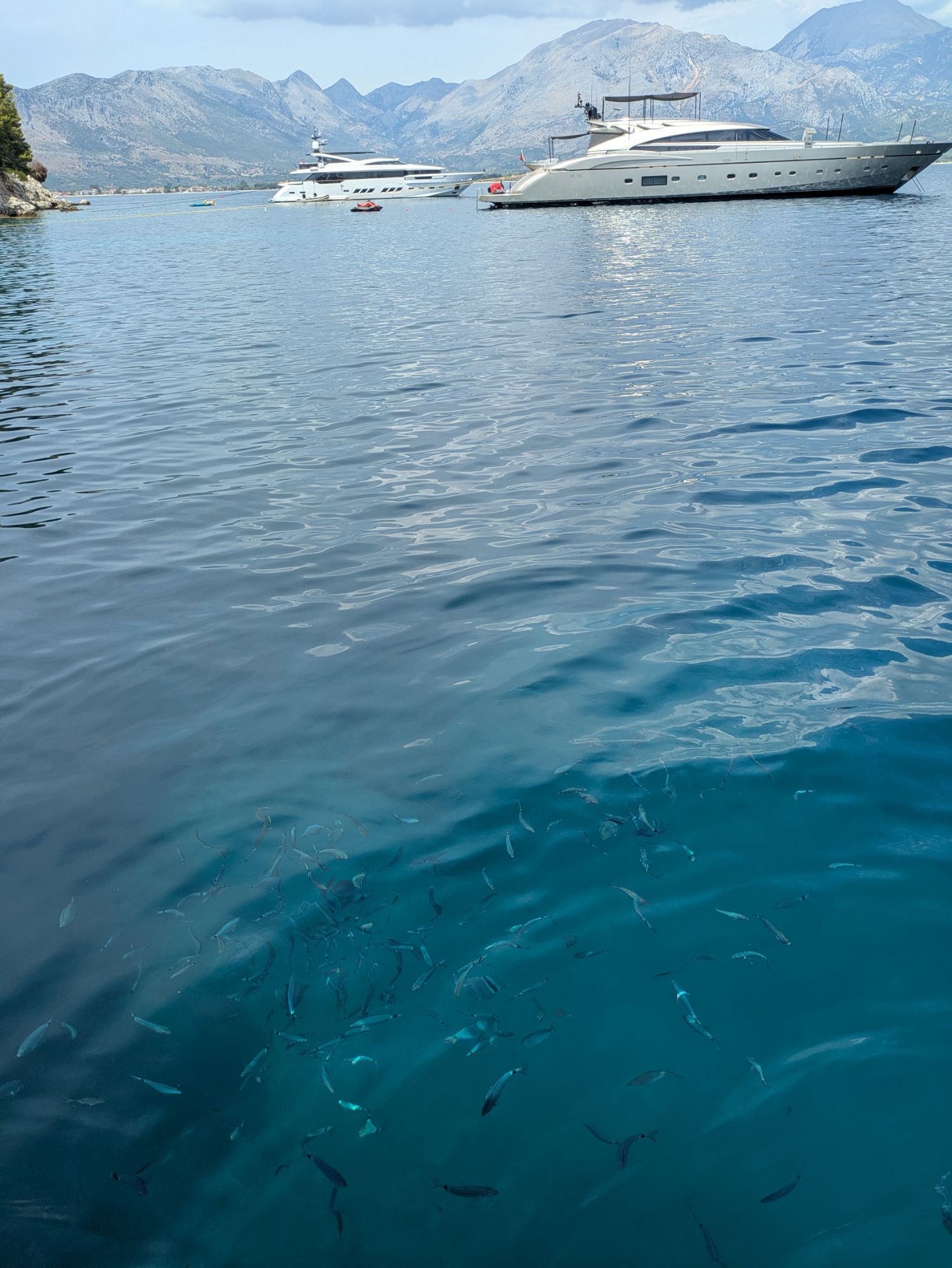 PXL 20250826 105813556