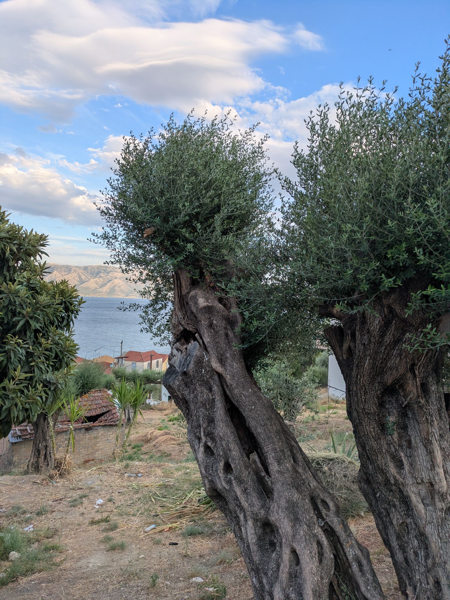 PXL 20250826 162747924