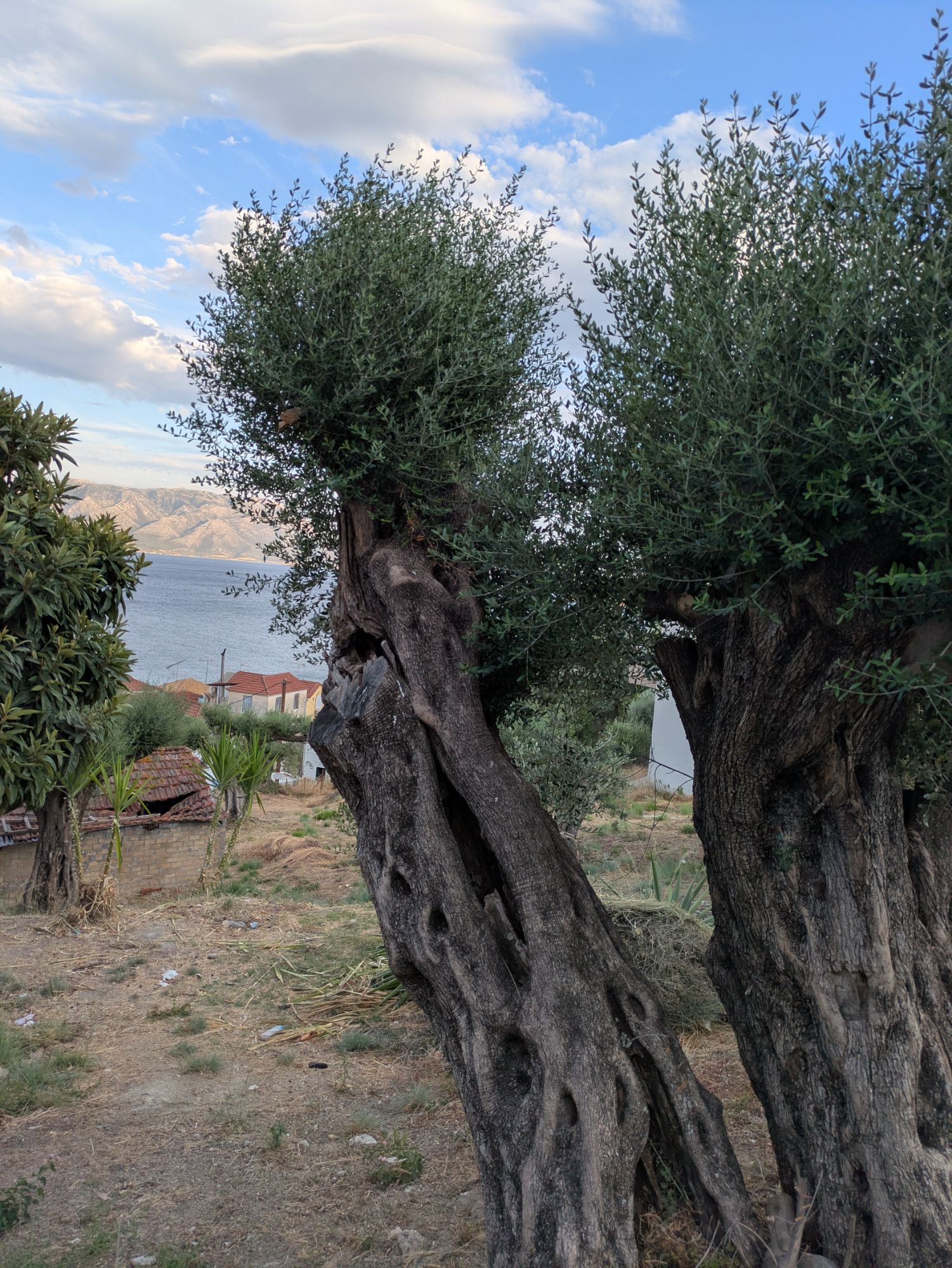 PXL 20250826 162750382