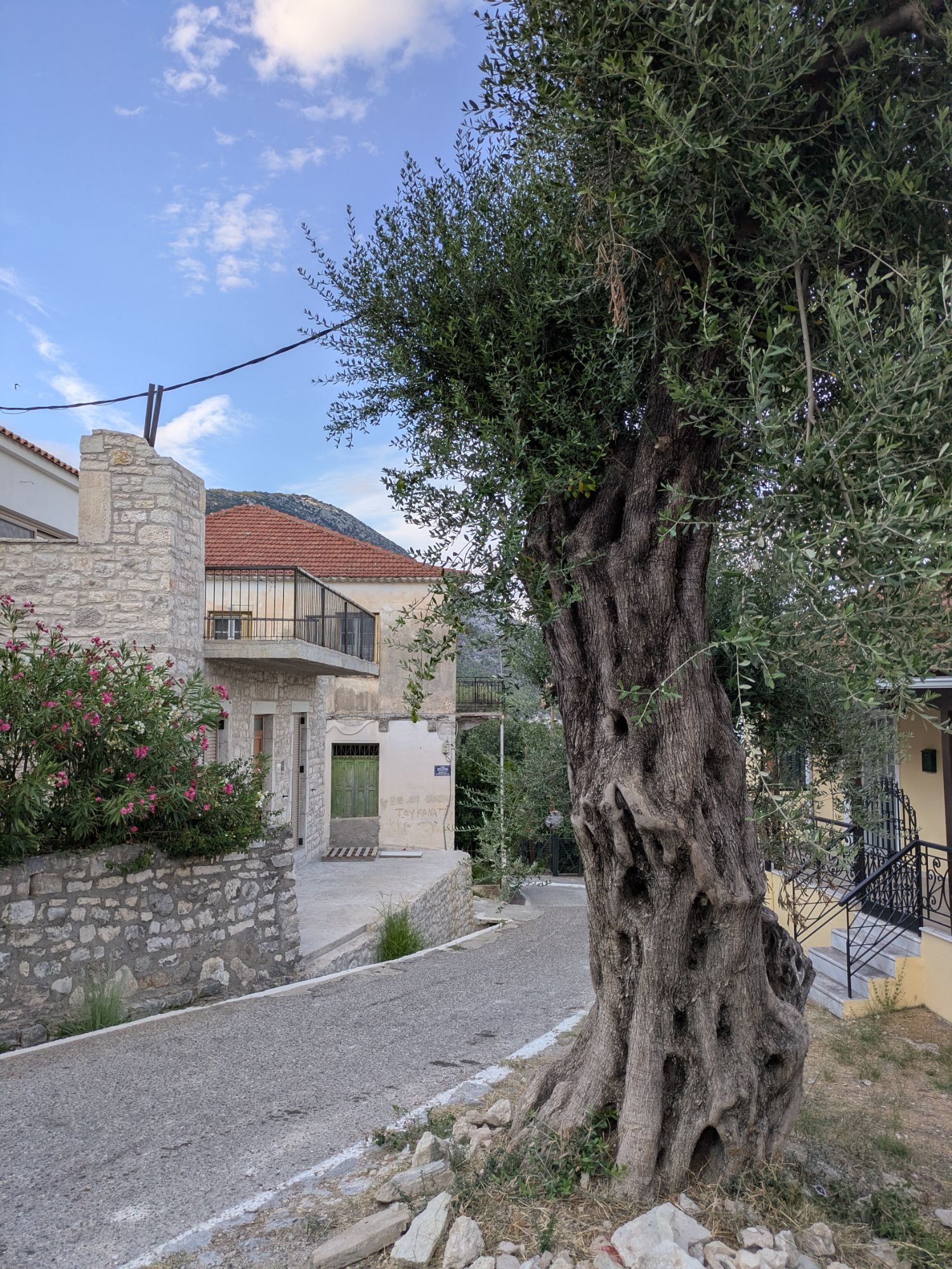 PXL 20250826 162817399