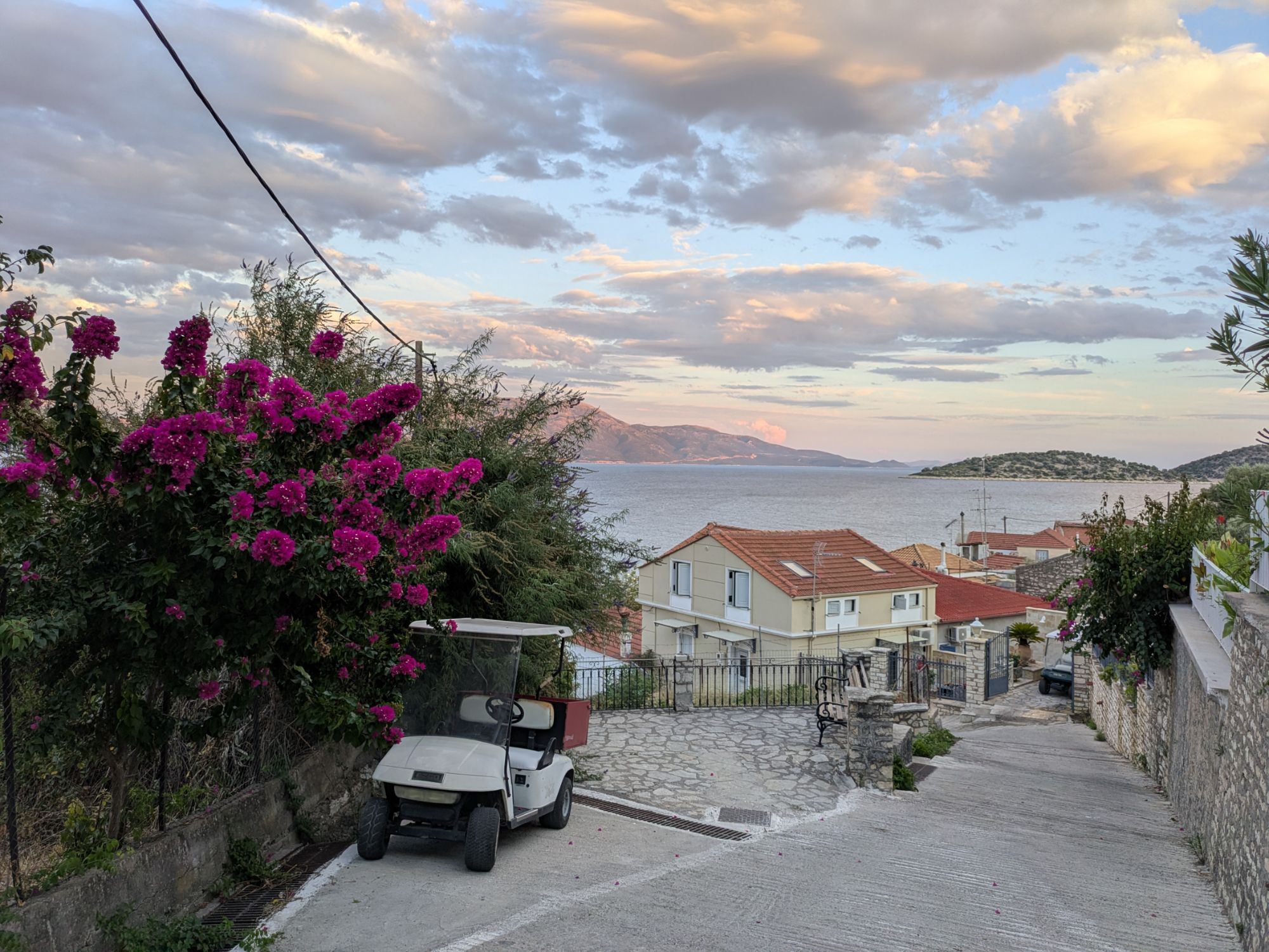 PXL 20250826 165918077