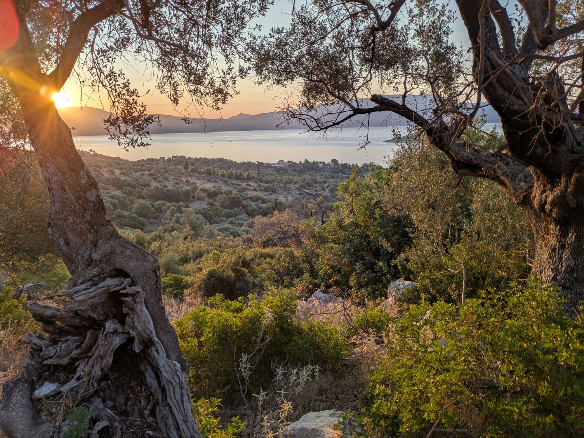 PXL 20250827 042313383