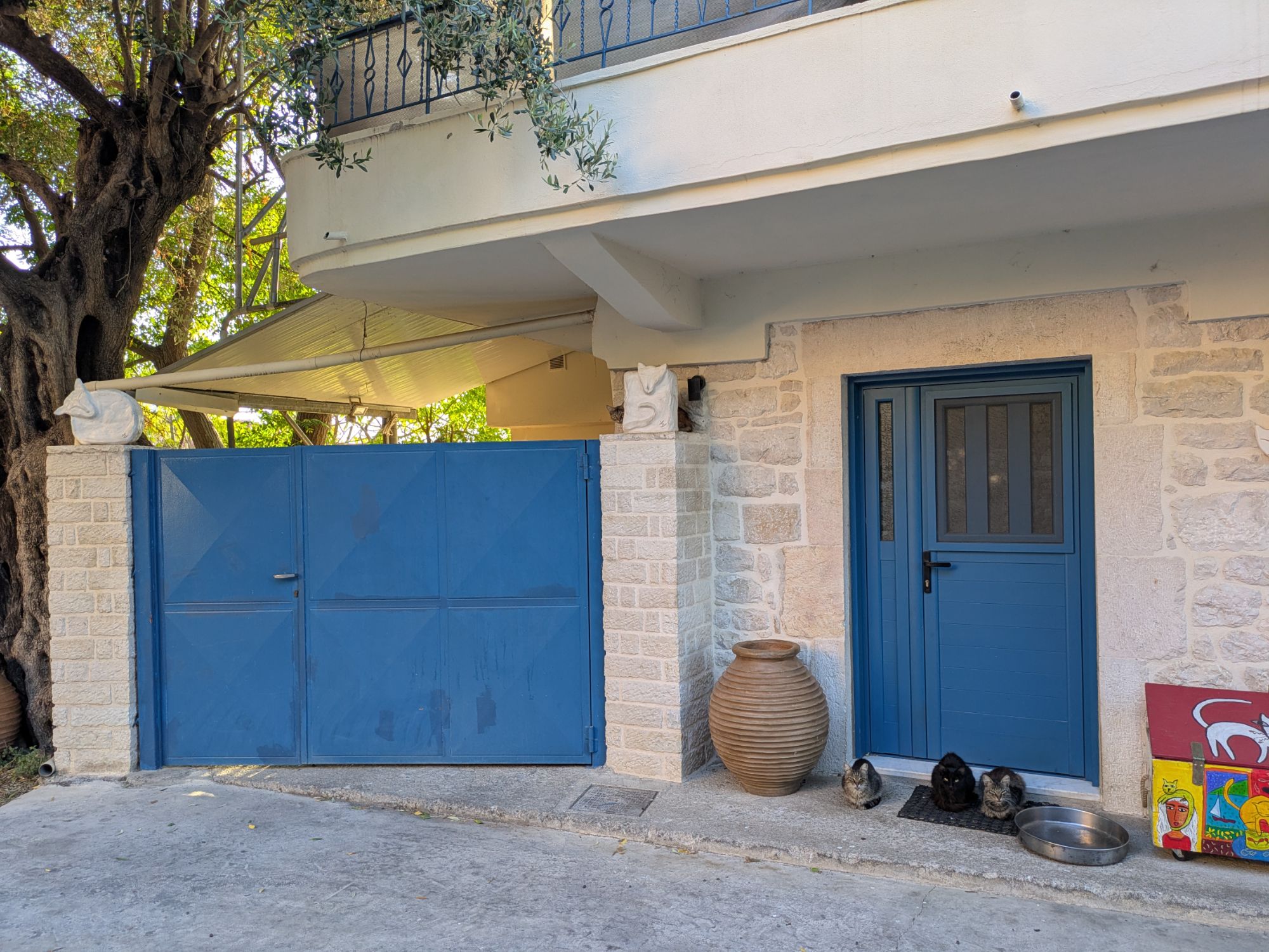 PXL 20250827 045124547.MP