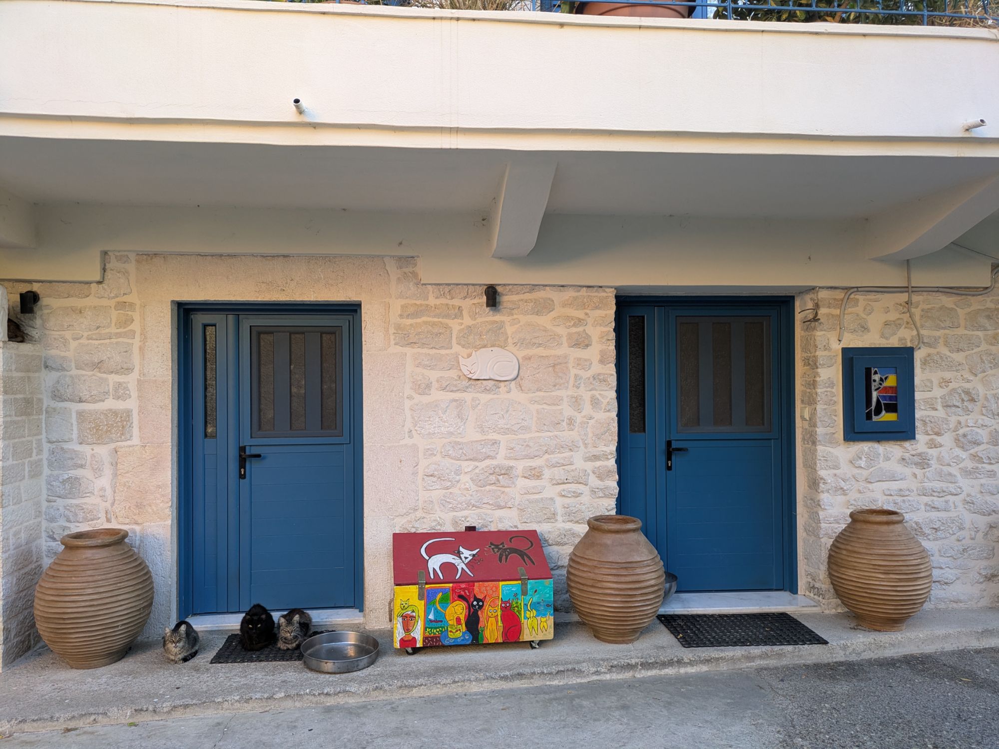 PXL 20250827 045126797.MP