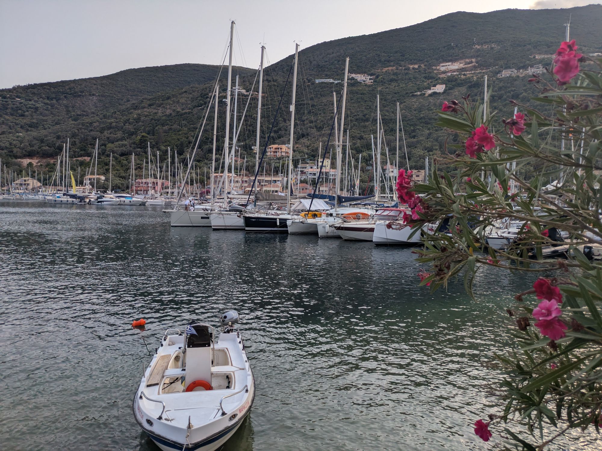 PXL 20250830 154551067