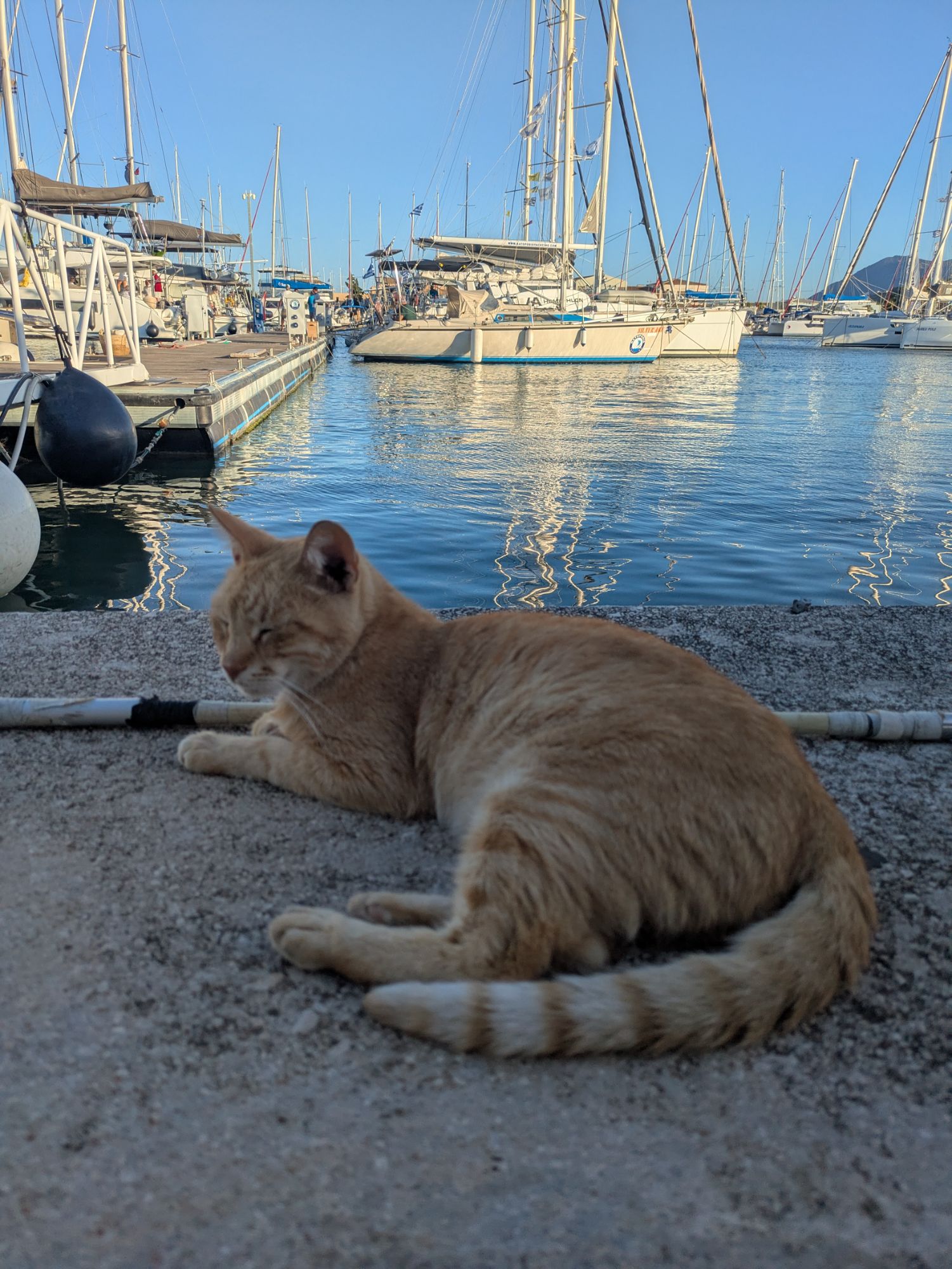 PXL 20250831 160127364.MP