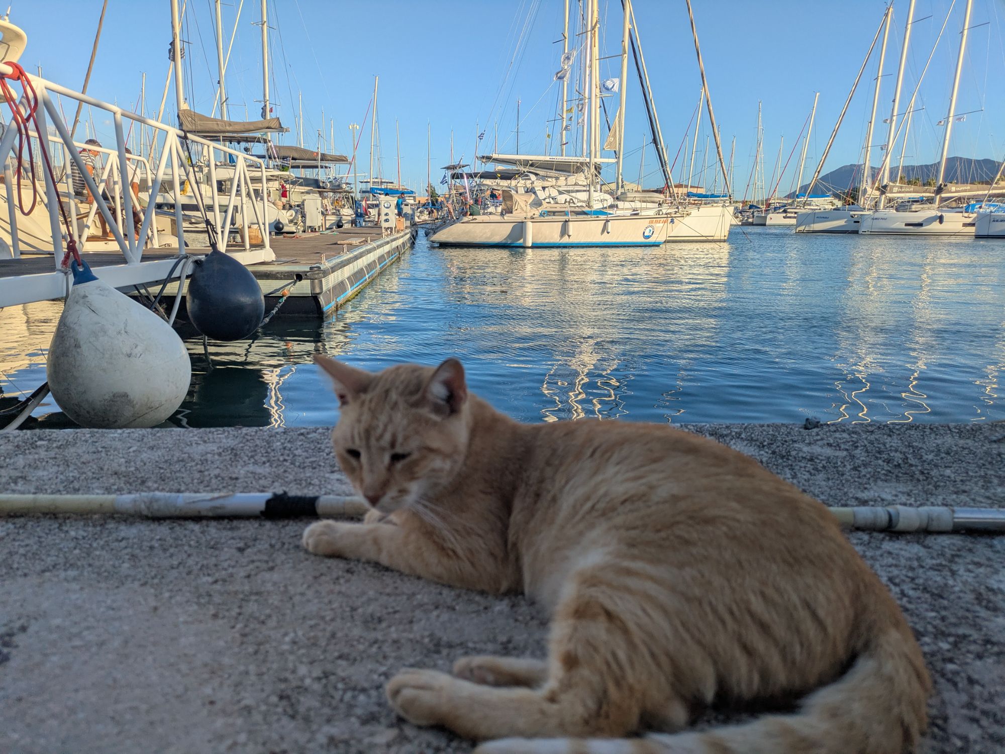 PXL 20250831 160131343